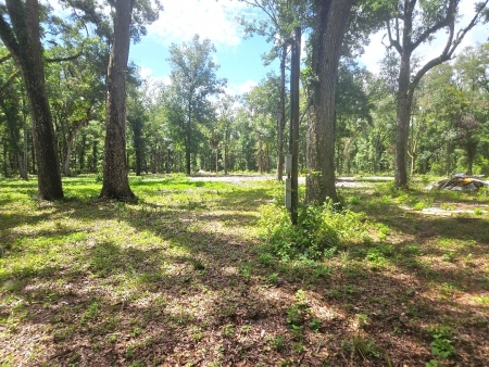 4.82 acres cleared fenced with well and power pole: Px2 px2